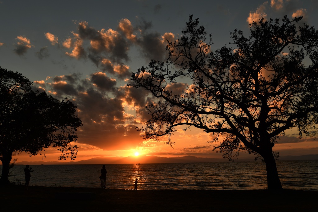 秋らしい夕景