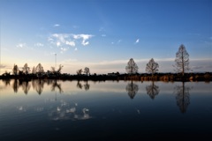 冬の青空