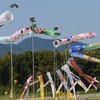 あっち向いてホイ！