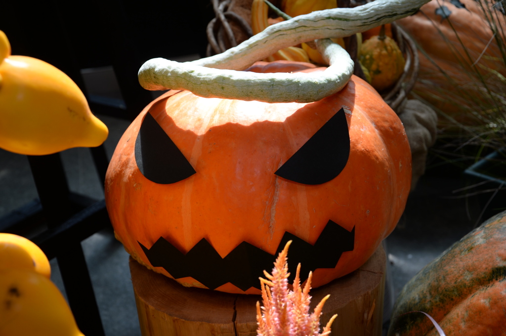 もうすぐﾊﾛｳｨﾝ３