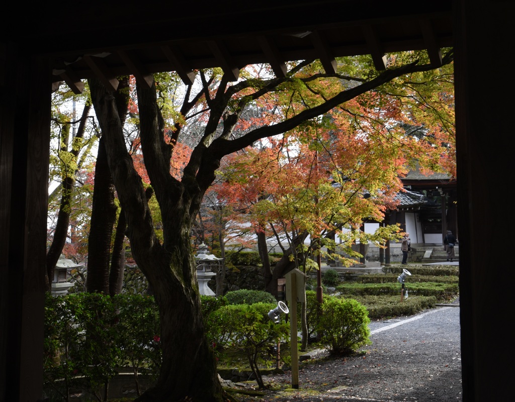 西教寺３