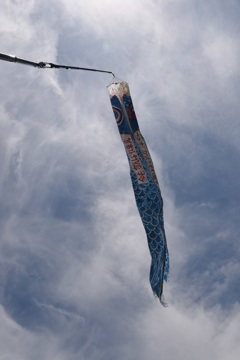 ｼﾞｬﾝﾎﾞ鯉登り