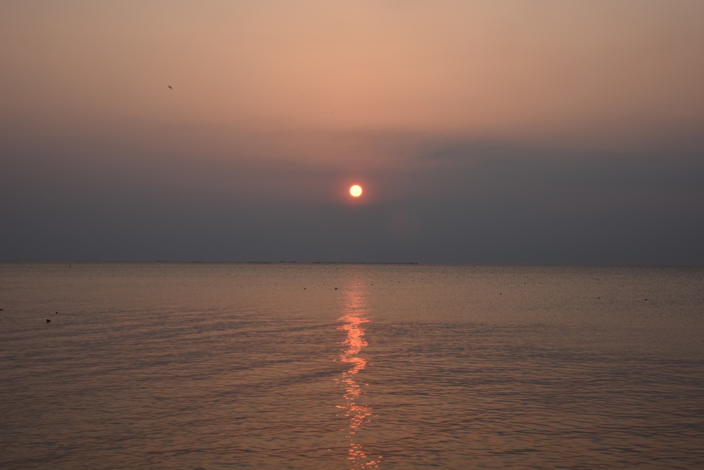 弥生彦根夕景