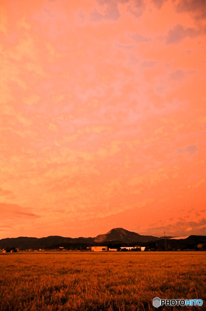 燃える伊吹山