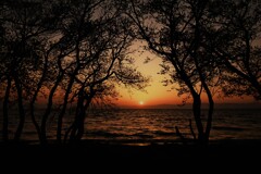 閉鎖された夕景