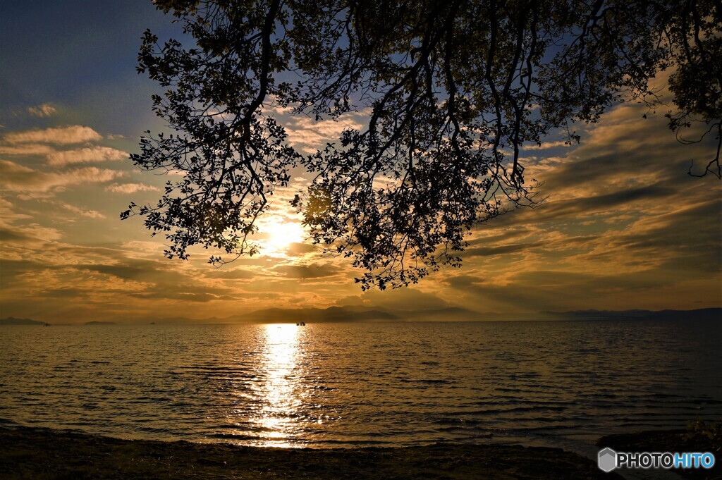 素直な夕景