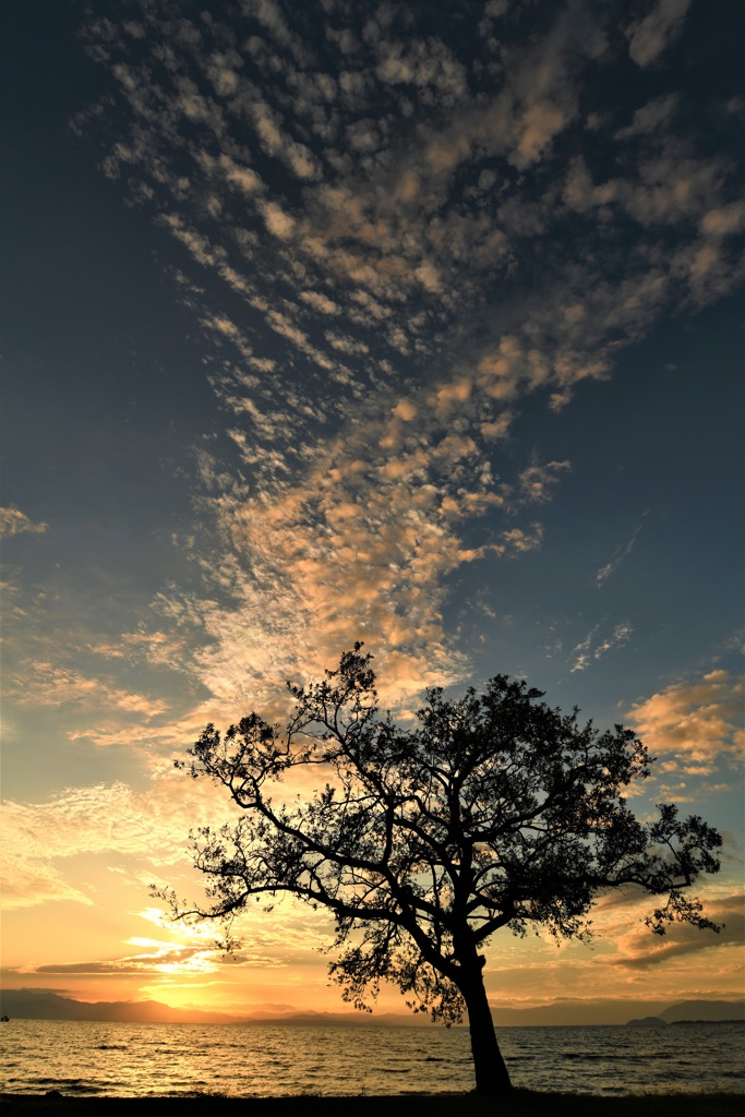 夕暮れの天の河