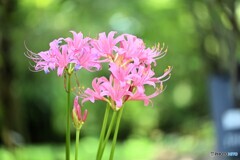 明るくて、賑やか・・・・・