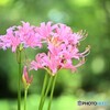 明るくて、賑やか・・・・・