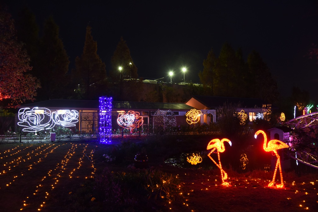 ｲﾝｸﾞﾘｯｼｭｶﾞｰﾃﾞﾝ2