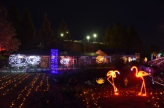 ｲﾝｸﾞﾘｯｼｭｶﾞｰﾃﾞﾝ2