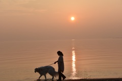 皐月長浜夕景Ⅱ-1