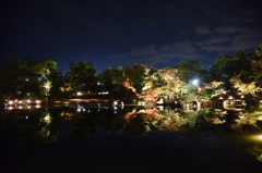 玄宮園ﾗｲﾄｱｯﾌﾟ１