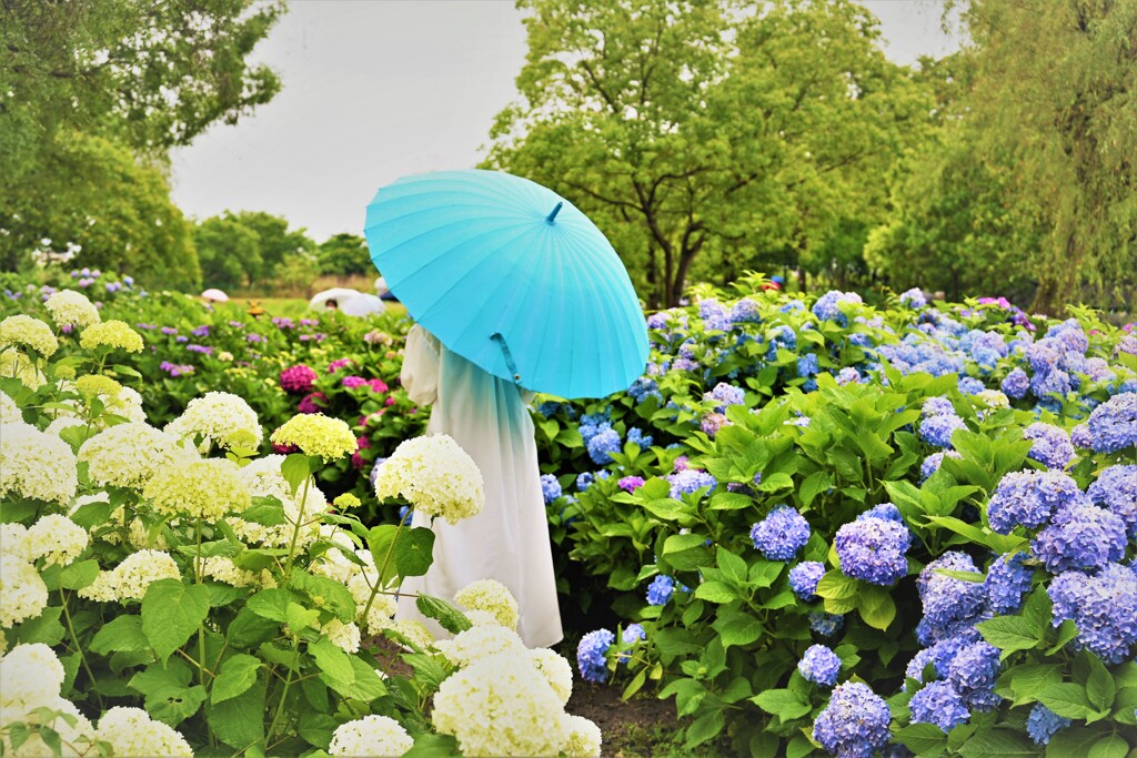 雨の日に・・・
