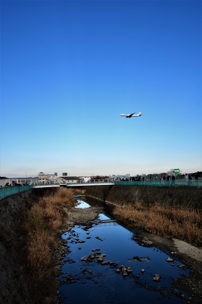 点景