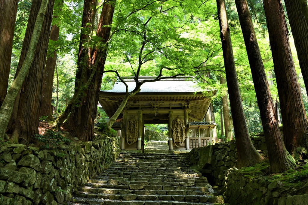 夏の仁王門
