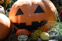 もうすぐﾊﾛｳｨﾝ２