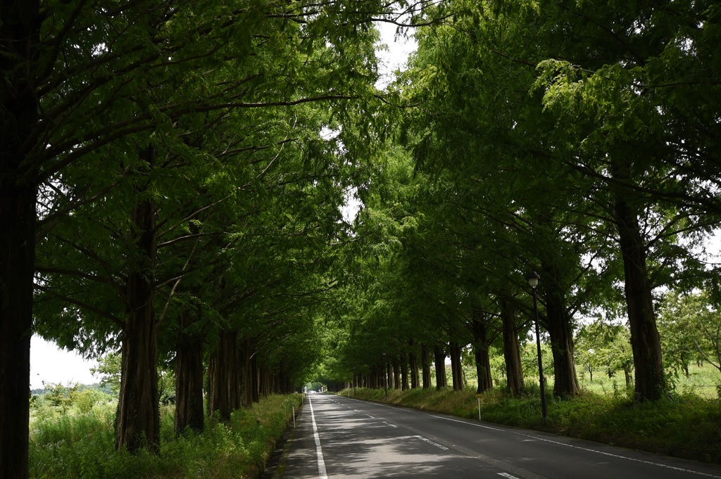 初夏のﾄﾝﾈﾙ