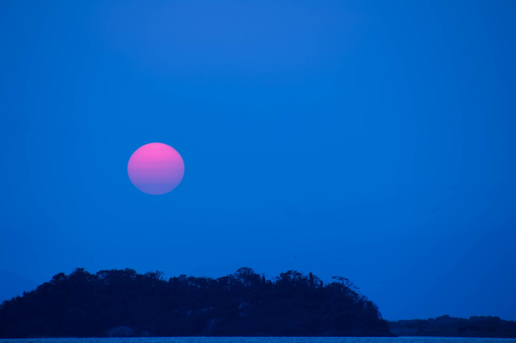 夕日
