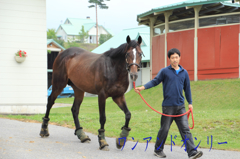 2014ダービー馬