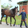2014ダービー馬