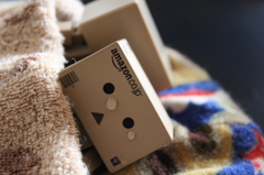 我が家のダンボー