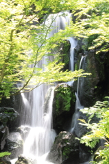 滝