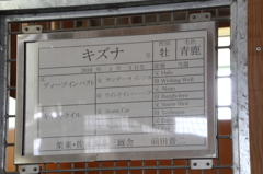キズナの馬房