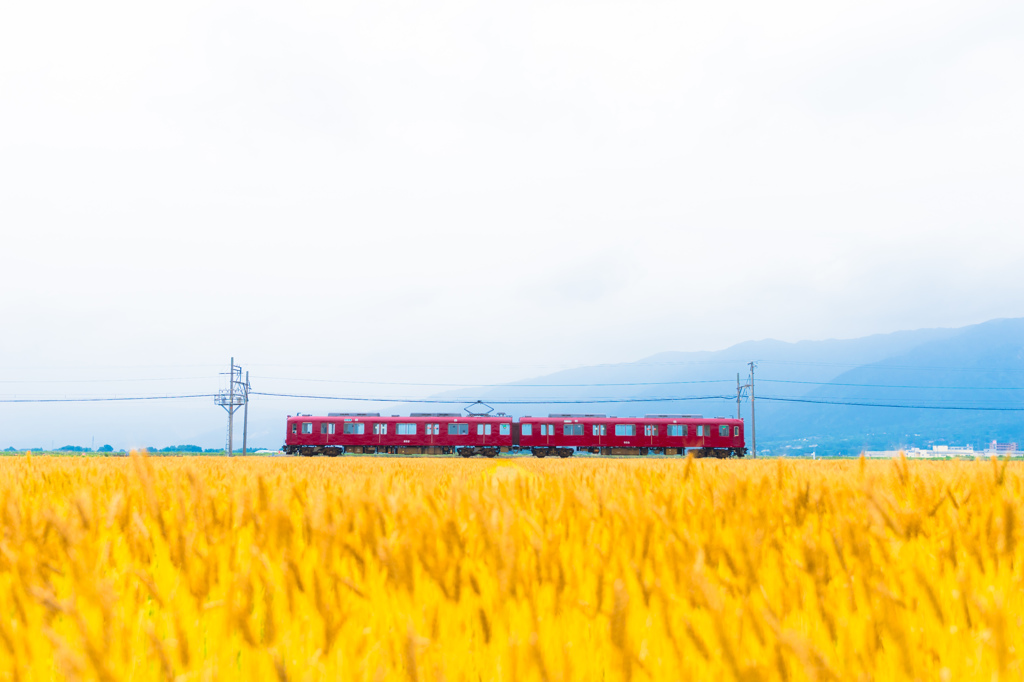麦列車