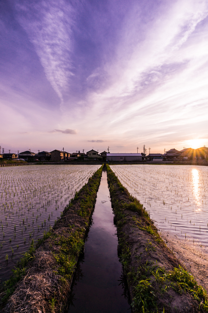 夕暮れの散歩で見つけた情景～水無月