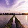 夕暮れの散歩で見つけた情景～水無月