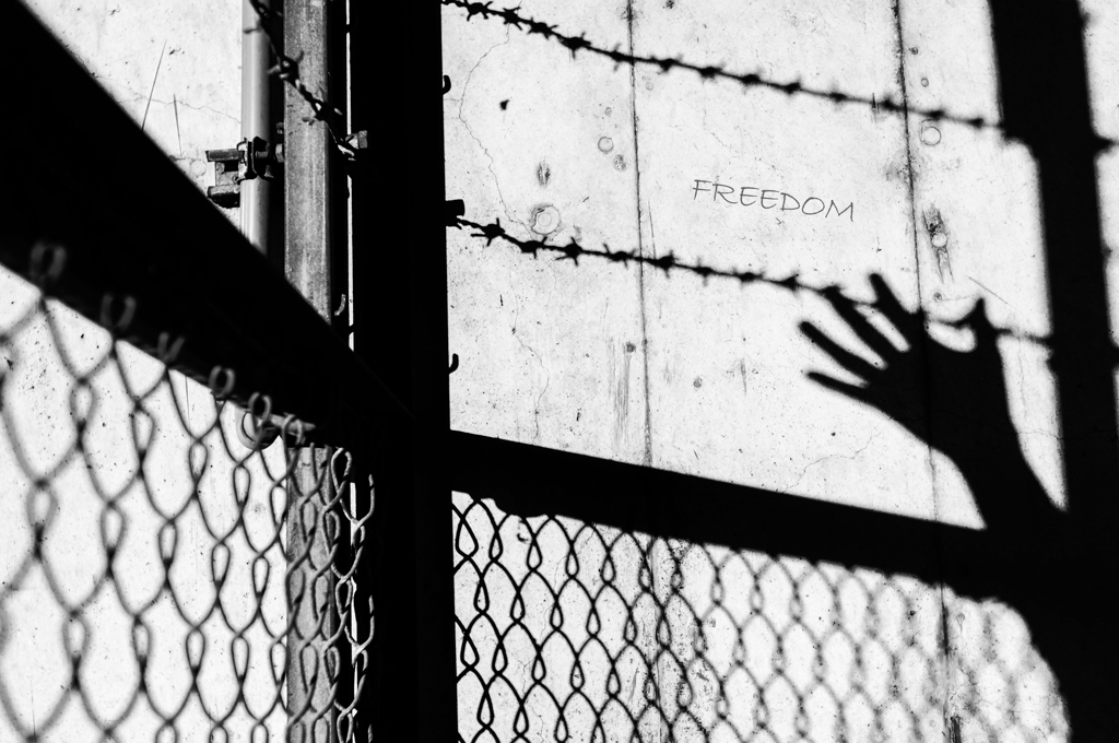 FREEDOM