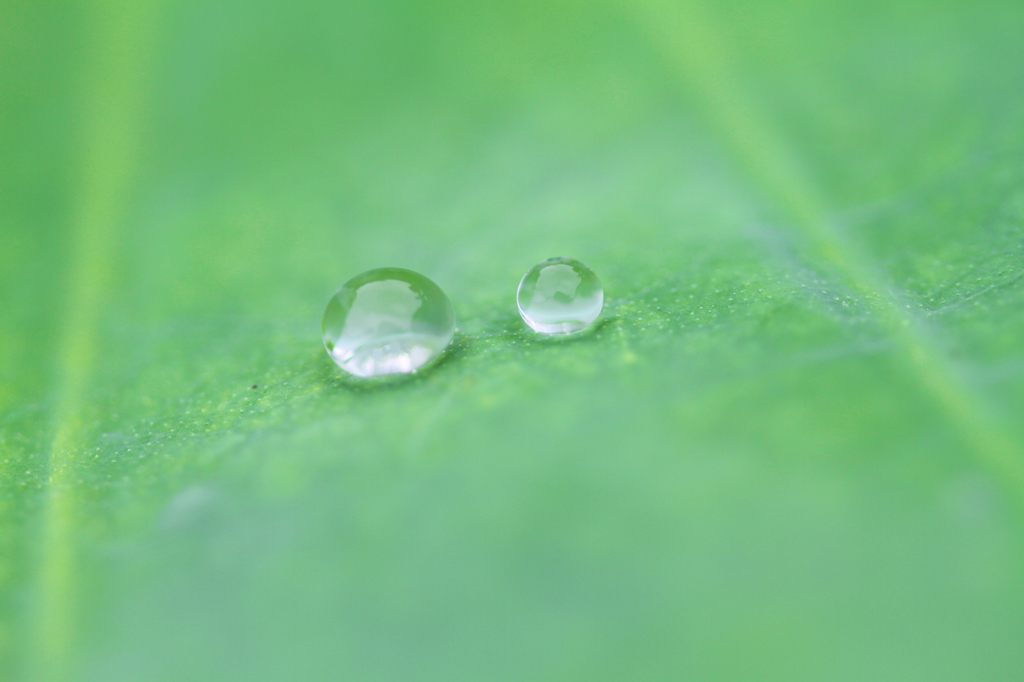 雨上がり