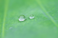 雨上がり