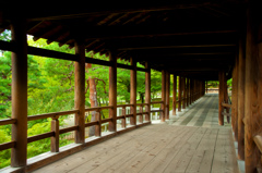 bridge in the green