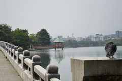 大濠公園