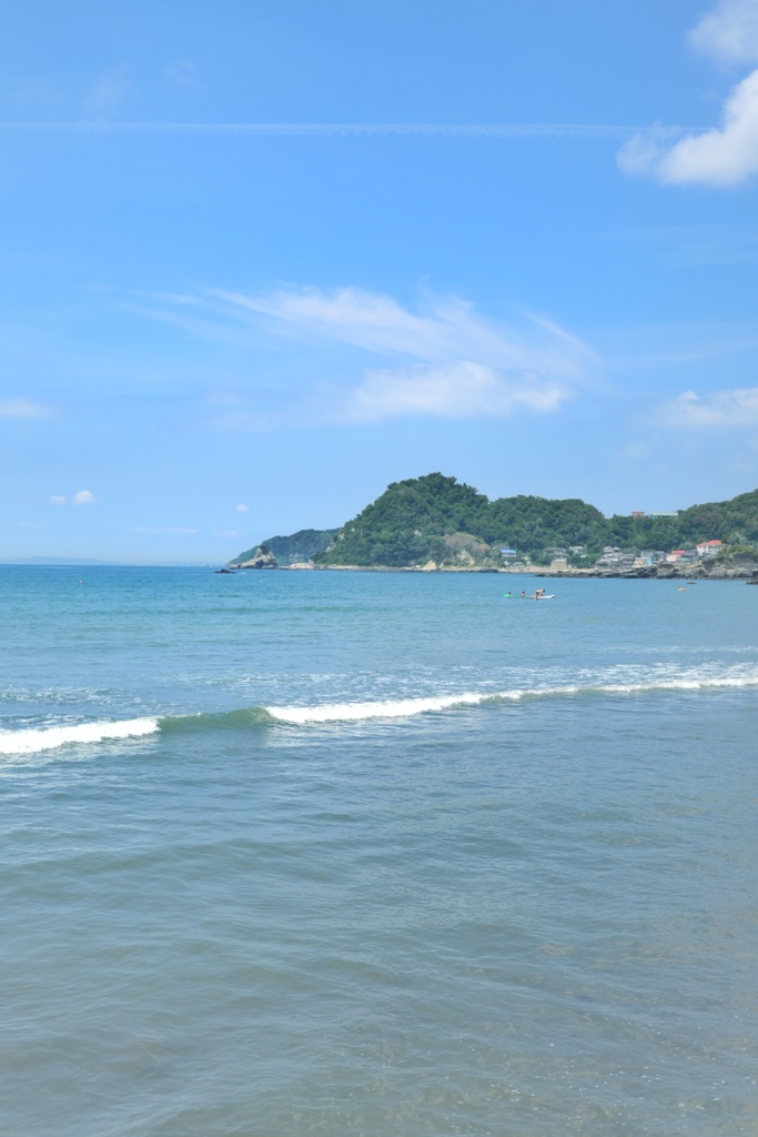 海