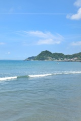 海