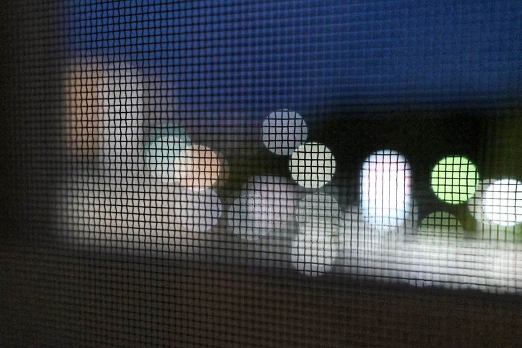 網戸越しの光