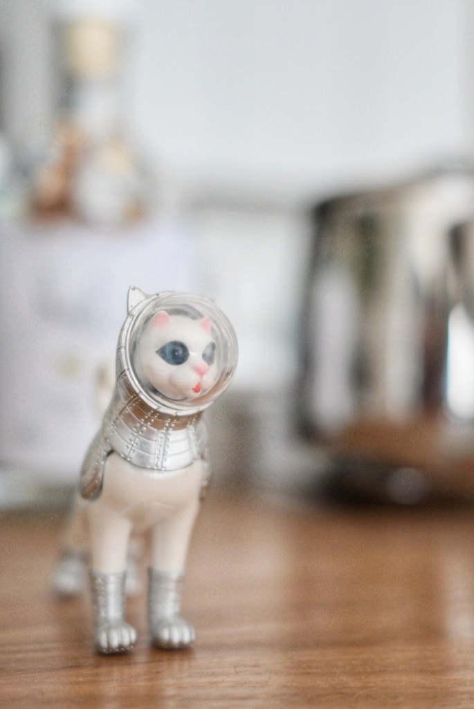 宇宙猫