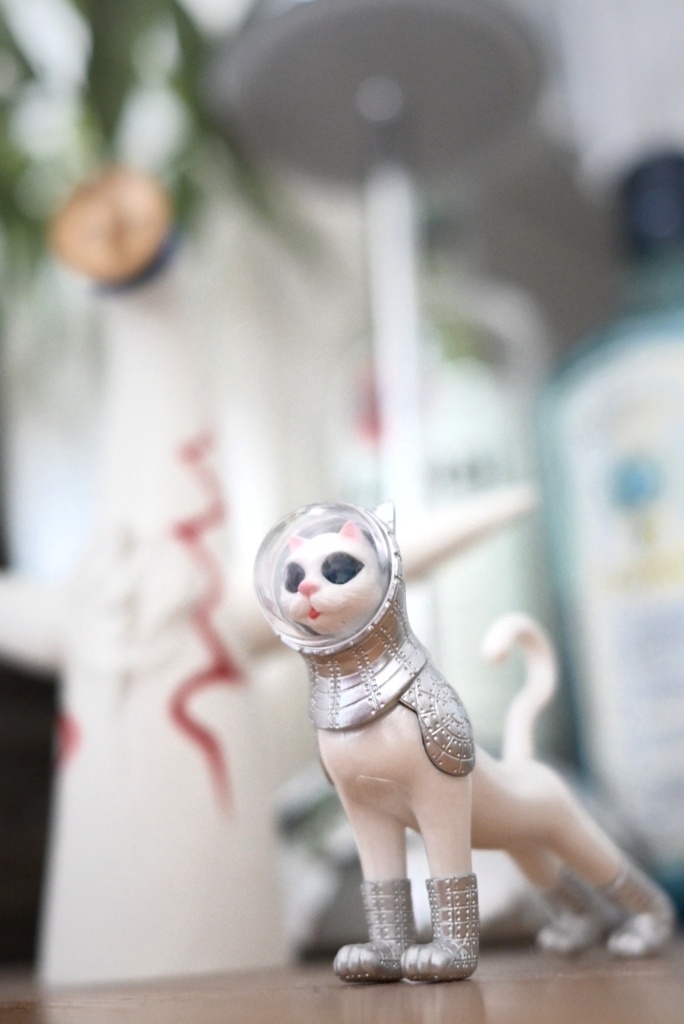 宇宙猫
