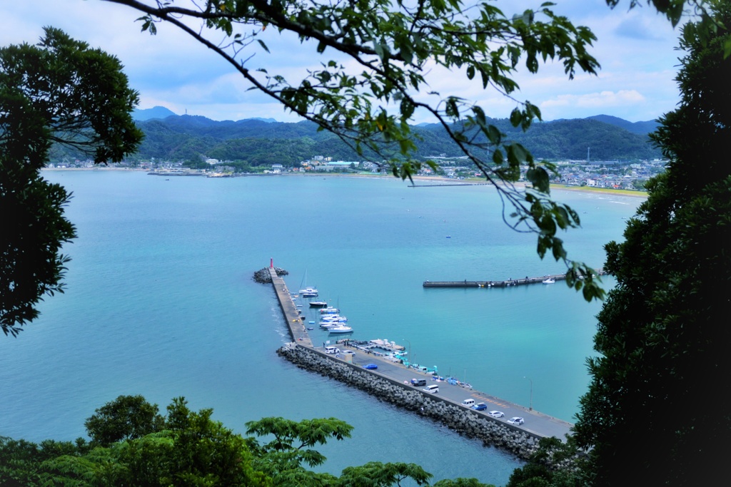 海