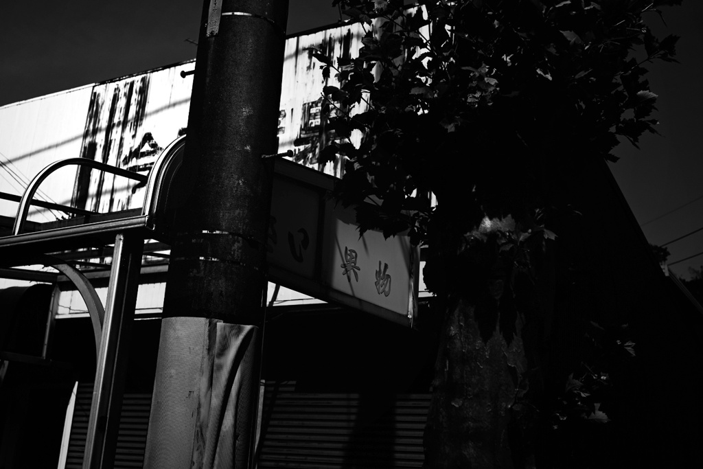 青果店