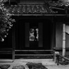 「小雨　白黒　シルエット」