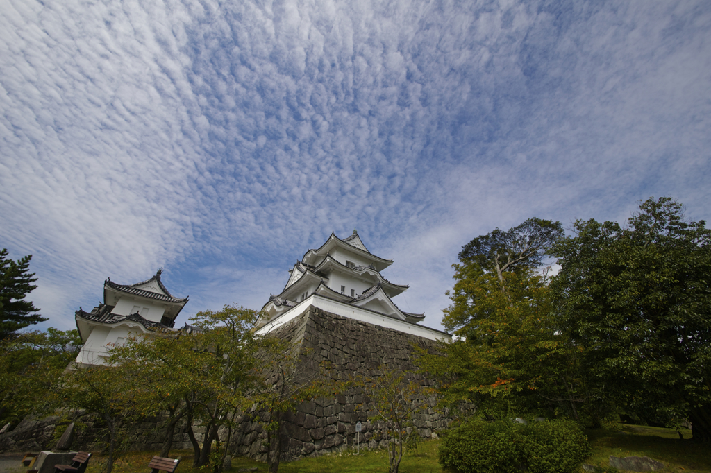 秋の伊賀上野城