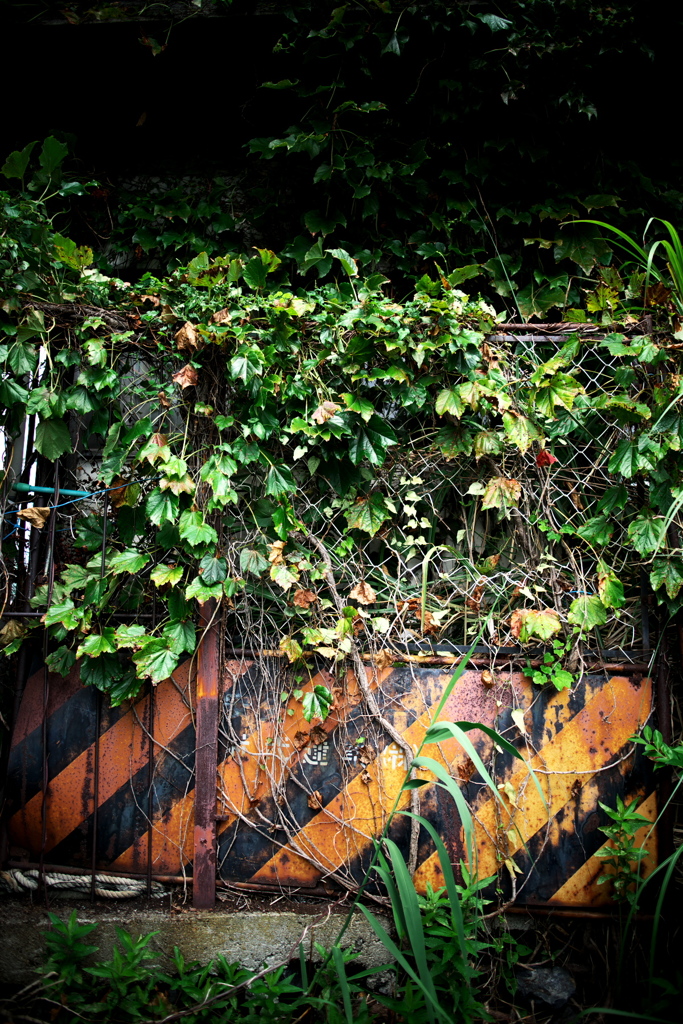 DSC07814clrSLK