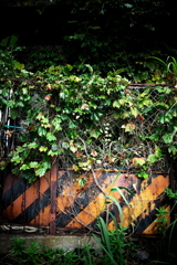 DSC07814clrSLK