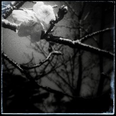 IMG_20160321_162638~2~2