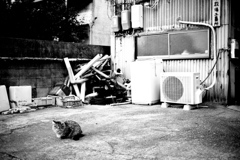 DSC09624bwSLK