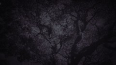 IMG_20160221_192529~2